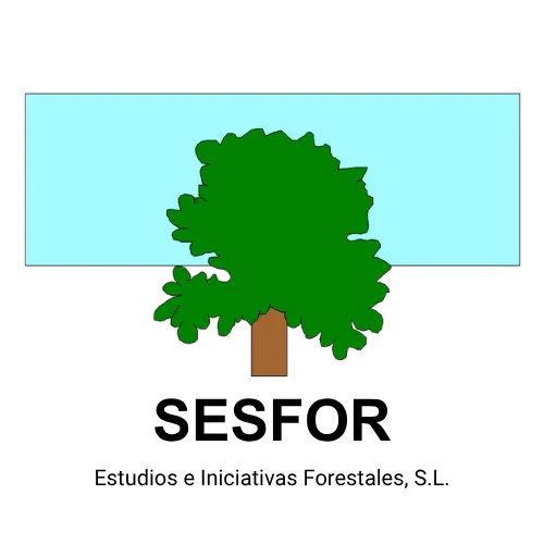 Logo 1 | ESTUDIOS E INICIATIVAS FORESTALES SL
