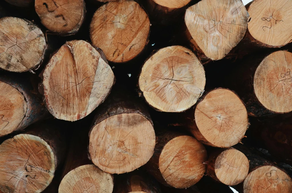 Pexels Ekrulila 2203077 | ESTUDIOS E INICIATIVAS FORESTALES SL